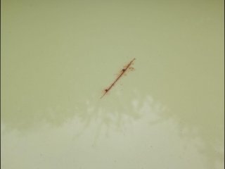 /photos/11724/2a76b334-5186-478c-a775-88203ca8a6bb_i320x240.jpg
